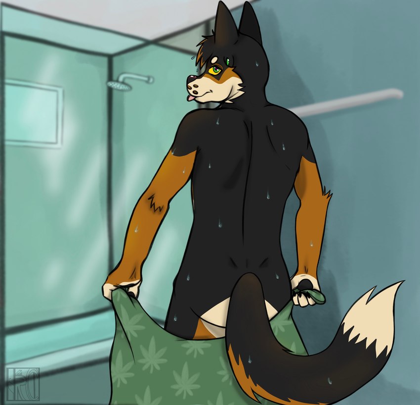 anthro detailed_background drugs looking_at_viewer male marijuana nude ranger rear_view shower solo suggestive_pose tail towel towel_only wet wet_body justsomeratz canid canine canis domestic_dog german_shepherd herding_dog mammal pastoral_dog absurd_res digital_media_(artwork) hi_res