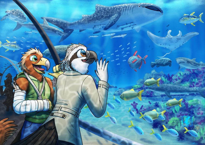 anthro aquarium big_pupils coral_reef dilated_pupils duo female hyperfixation male pupils vivarium fish_birb mythology lizzy_(fish_birb) pavlos_andriades accipitrid accipitriform anthozoan avian bird carpet_shark cnidarian coral eagle fish golden_eagle grouper gryphon lemon_shark mackerel_shark mako_shark manta_ray marine mythological_avian mythological_creature ocean_sunfish osprey ray_(fish) remora reptile requiem_shark scalie scombrid scombriform sea_turtle shark tetraodontiform true_eagle tuna turtle whale_shark white_shark absurd_res hi_res