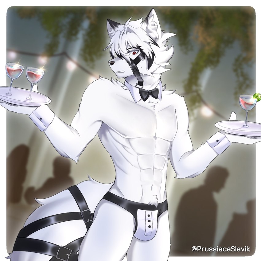abs anthro barazoku biceps big_muscles biped clothed clothing fur huge_muscles jockstrap looking_at_viewer male muscular muscular_anthro muscular_male pecs red_eyes skimpy solo underwear waiter white_body white_fur prussiacaslavik mihoyo zenless_zone_zero von_lycaon canid canine canis mammal wolf 1:1 2024 hi_res