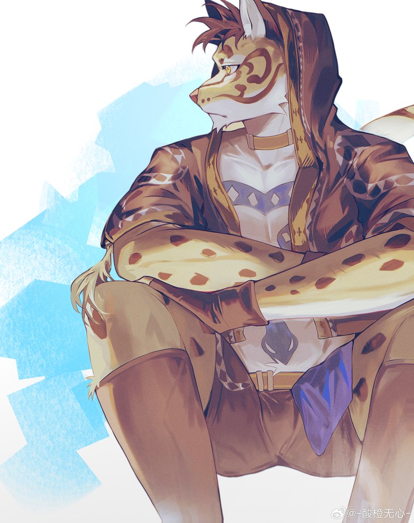 abs anthro athletic athletic_anthro athletic_male clothed clothing collar fur looking_away male markings sitting solo spots spotted_body spotted_fur tattoo yellow_body yellow_eyes yellow_fur axianorange nekojishi studio_klondike likulau clouded_leopard felid mammal pantherine 2024 absurd_res hi_res