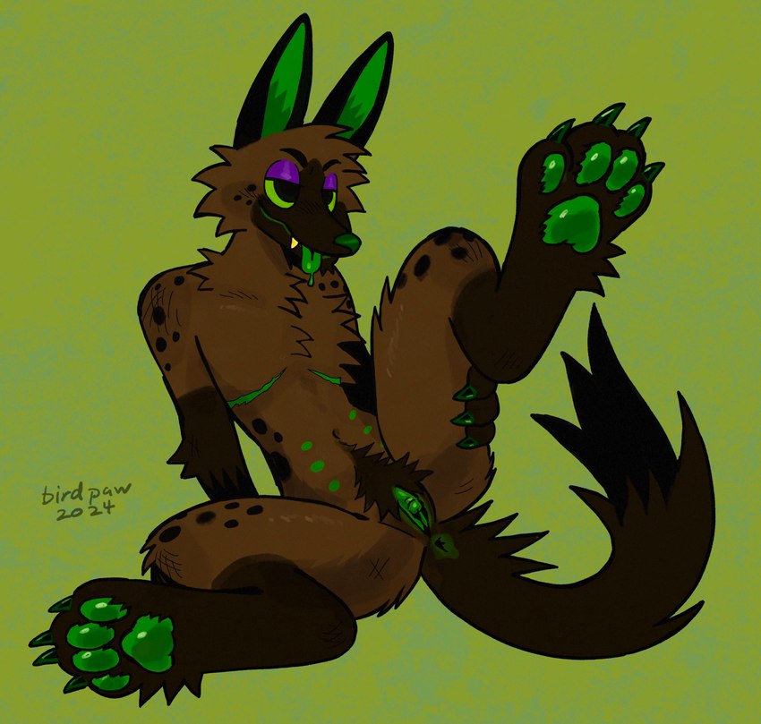 4_toes 6_nipples andromorph anthro anus belly_nipples black_body black_ears black_eyebrows black_eyes black_fur black_tail bodily_fluids brown_body brown_fur cheek_tuft chest_tuft claws eyebrows facial_tuft fangs feet fur genitals gloves_(marking) green_anus green_background green_claws green_inner_ear green_insides green_nipples green_nose green_pawpads green_pussy green_scar green_sclera green_tongue humanoid_genitalia humanoid_pussy intersex leg_markings long_ears markings mastectomy_scar multi_nipple nipples nude nude_andromorph nude_anthro pawpads purple_eyelids pussy raised_leg saliva scar simple_background sitting smile socks_(marking) solo spots spotted_body spotted_fur tail tail_anus tail_tuft teeth toe_claws toes tongue tongue_out tuft birdpaw_(artist) canid canine mammal 2024 dated digital_media_(artwork) full-length_portrait hi_res portrait trans_(lore) trans_man_(lore)