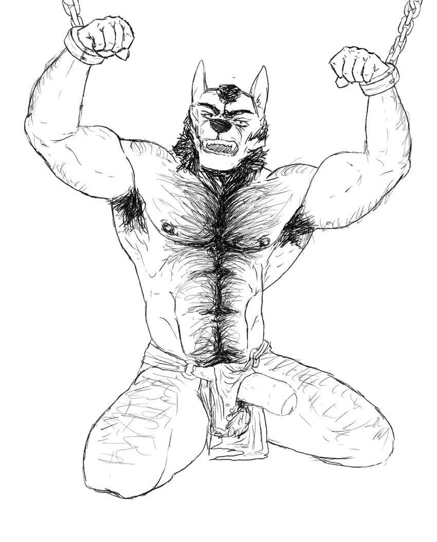 anthro armpit_hair body_hair bottomwear bound captured clothing hairy loincloth male muscular rope solo simonsbathtub alex_nightmurr canid canine canis mammal wolf hi_res monochrome sketch story story_in_description