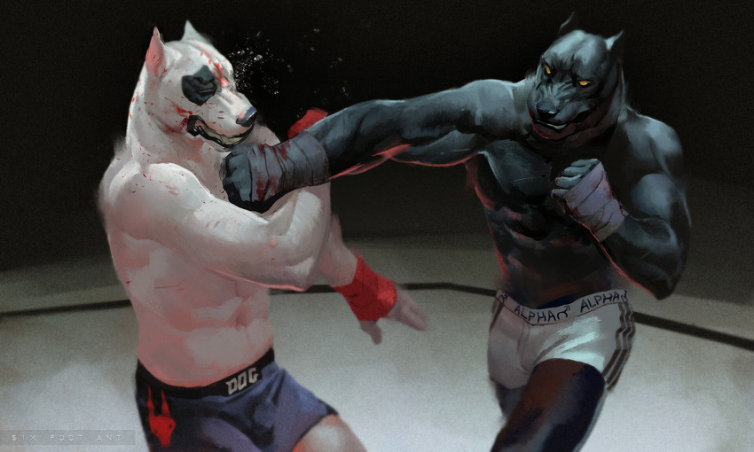 anthro black_body blood bodily_fluids bottomwear clothed clothing cropped_ears duo fight male muscular muscular_male punch sport standing topless white_body sixfoot cane_corso canid canine canis domestic_dog mammal mastiff molosser pit_bull 2019 5:3 digital_media_(artwork) hi_res