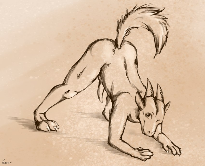 anthro ass_up butt claws erection fur genitals grin horn knot looking_at_viewer male paws penis rear_view simple_background smile solo spread_legs spreading tail arcwolfdragon mythology dragon mythological_creature mythological_scalie scalie absurd_res hi_res sketch