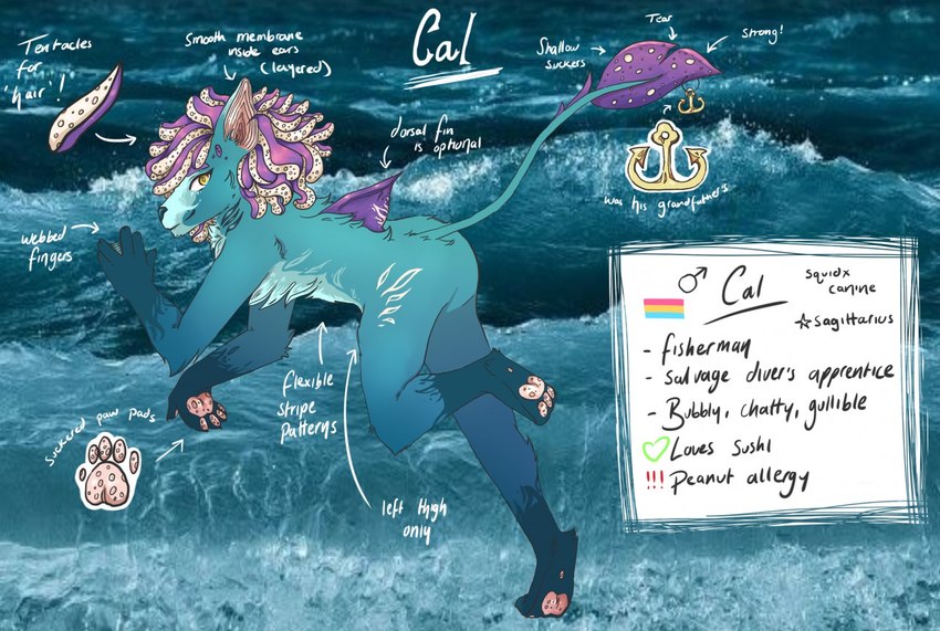 ambiguous_gender anthro arm_tuft back_tuft blue_body blue_fur blue_gills chest_tuft closed_smile dorsal_fin elbow_tuft fin fingerpads fur furgonomics furry-specific_piercing gender_symbol gills lgbt_pride looking_at_viewer male_symbol membrane_(anatomy) mouth_closed neck_gills nude pansexual_pride_colors pawpads photo_background piercing pink_pawpads pride_colors pseudo_hair side_view slight_smile smile solo symbol tail tail_piercing text tuft webbed_hands yellow_eyes lionfloof cal_(lionfloof) canid canine cephalopod coleoid decapodiform hybrid mammal marine mollusk squid english_text model_sheet photography_(artwork) male_(lore)