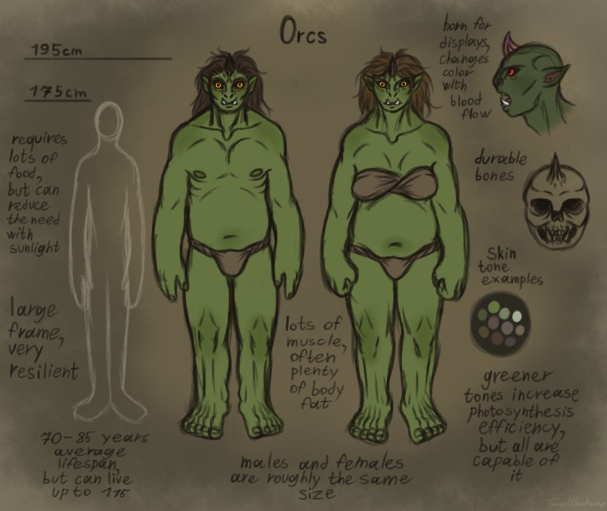 bald black_sclera bone brown_hair clothing duo fantasy female green_body green_skin hair horn humanoid_pointy_ears male muscular open_mouth red_eyes skull slightly_chubby species_sheet text tusks underwear yellow_eyes taraelblackwing humanoid orc english_text hi_res model_sheet