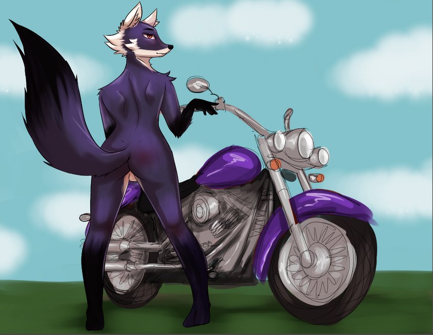 anthro backsack balls black_body black_fur black_nose black_tail butt fur genitals looking_at_viewer male motorcycle nude purple_body purple_fur purple_motorcycle red_eyes simple_background smile solo tail vehicle white_body white_fur i_dont_really_know jay_(i_dont_really_know) canid canine fox mammal digital_media_(artwork)