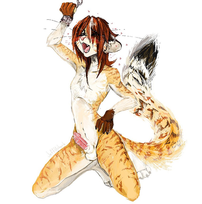 anthro balls countershade_fur countershade_torso countershading dipstick_tail erection femboy fur genitals hair male markings open_mouth penis simple_background solo tail tail_markings white_background jeffusherb anklav felid mammal pantherine tiger