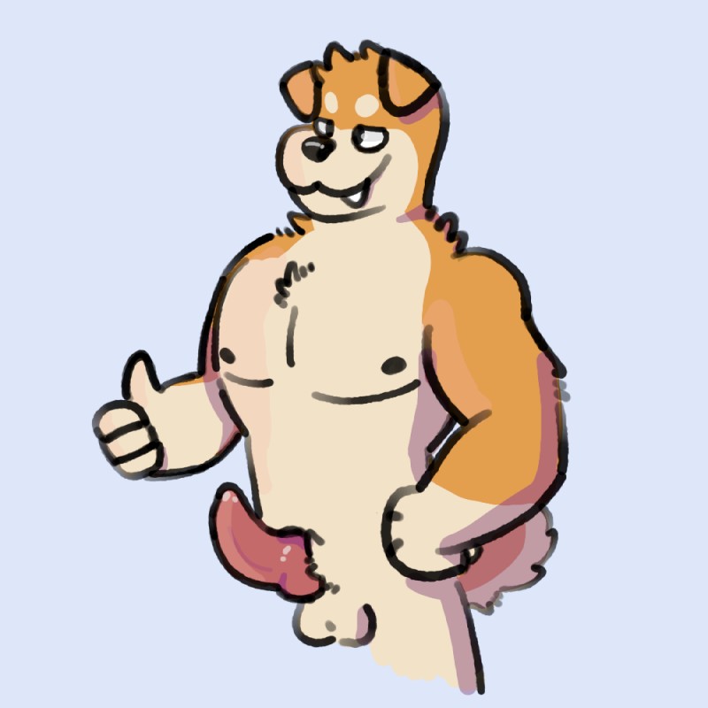 animal_genitalia animal_penis anthro balls brown_body brown_fur canine_genitalia canine_penis erection fur genitals gesture hand_gesture knot male nipples nude penis simple_background smile solo thumbs_up cottongryph canid canine canis domestic_dog mammal shiba_inu spitz 1:1 2019 digital_media_(artwork)