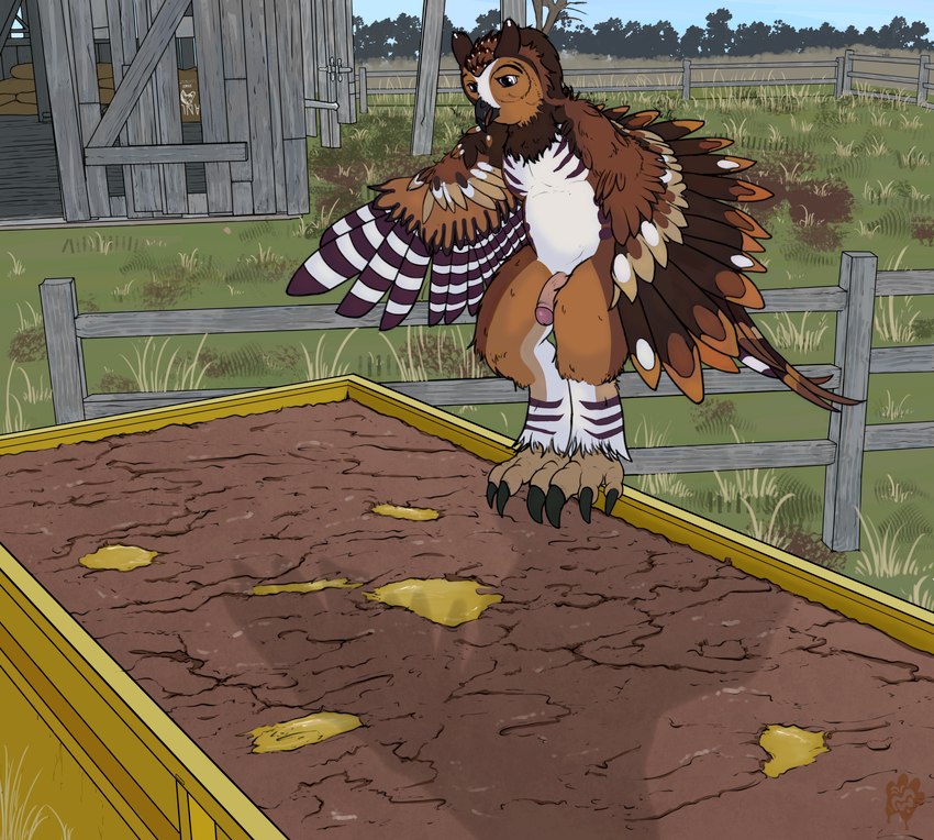 anthro feathered_wings feathers feet genitals humanoid_genitalia humanoid_penis male mud mud_bath mud_pit outside penis slurry solo talons toes wings mudwuff avian bird owl absurd_res hi_res