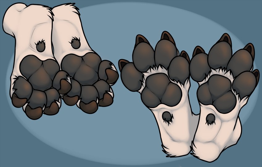 anthro claws curling_toes feet foot_focus male pawpads paws solo spread_toes toes 3dinoz cain_the_dingo gony_(3dinoz) canid canine canis dingo mammal absurd_res hi_res