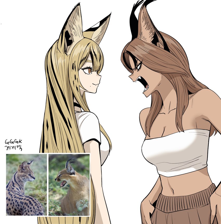 angry animal_ears bangs black_highlights blonde_hair bottomwear brown_body brown_bottomwear brown_clothing brown_eyes brown_hair brown_skin choker clothing duo female flesh_fang hair highlights_(coloring) jewelry long_hair looking_at_another midriff navel necklace neutral_expression open_mouth orange_eyes pale_skin sharp_teeth shirt side_bangs side_view simple_background t-shirt teeth text topwear tube_top white_background white_clothing white_shirt white_t-shirt white_topwear white_tube_top gegegekman aggressive_caracal_chan serval_(gegegekman) animal_humanoid caracal_humanoid felid felid_humanoid feline feline_humanoid humanoid mammal mammal_humanoid serval_humanoid 2024 artist_name cel_shading hi_res portrait reference_image shaded three-quarter_portrait