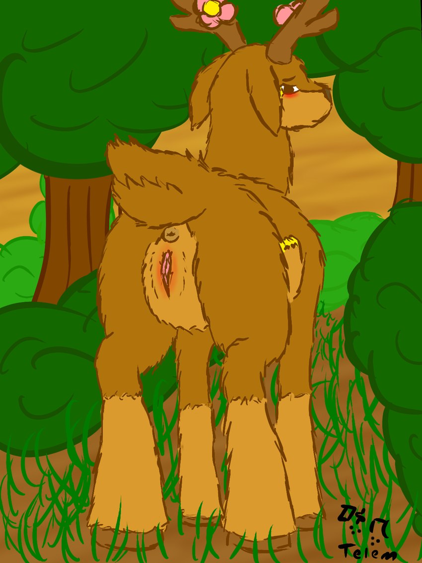 antlers anus blush female feral genitals hooves horn outside plant pussy solo standing tree telem nintendo pokemon generation_5_pokemon pokemon_(species) sawsbuck spring_sawsbuck hi_res