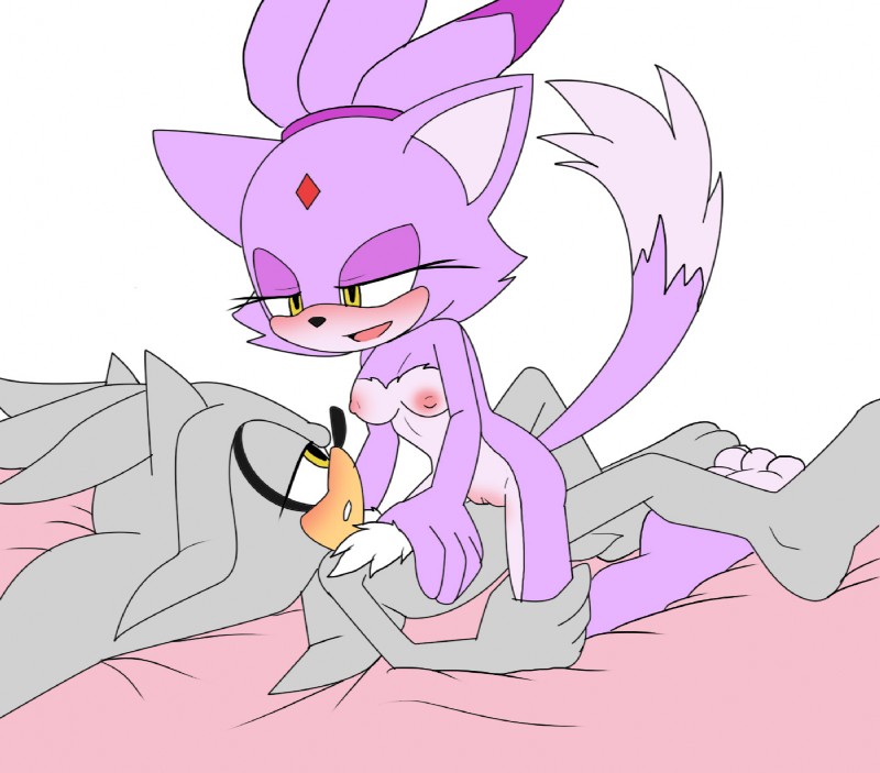 blaze the cat and silver the hedgehog (sonic the hedgehog (series) and etc) created by angelofhapiness