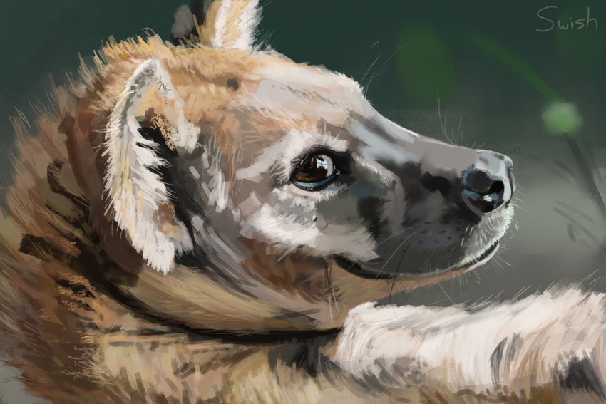 brown_body brown_eyes brown_fur facial_expression feral fur smile solo text swish hyena mammal spotted_hyena 2016 3:2 digital_media_(artwork) english_text hi_res signature traditional_media_(artwork)