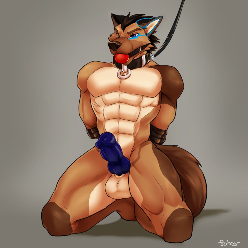 abs anthro ball_gag balls bdsm biped bondage bound collar erection gag gagged genitals kneeling knot leash male muscular muscular_anthro muscular_male nude penis scar simple_background solo submissive submissive_male seibear edan_shepherd canid canine canis domestic_dog german_shepherd herding_dog mammal pastoral_dog 1:1 absurd_res hi_res