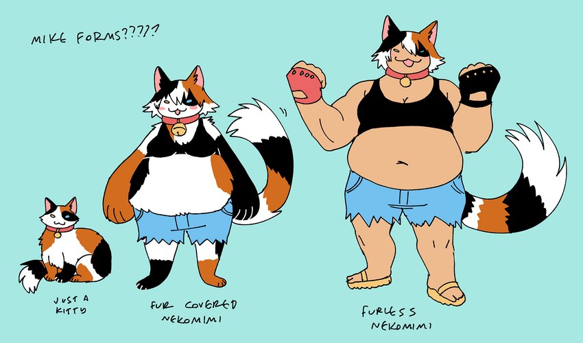 :3 anthro blue_background female feral male navel overweight overweight_anthro overweight_female overweight_humanoid simple_background solo text spoonfayse mike_(spoonfayse) animal_humanoid calico_cat calico_cat_humanoid cat_humanoid domestic_cat felid felid_humanoid feline feline_humanoid felis humanoid mammal mammal_humanoid english_text