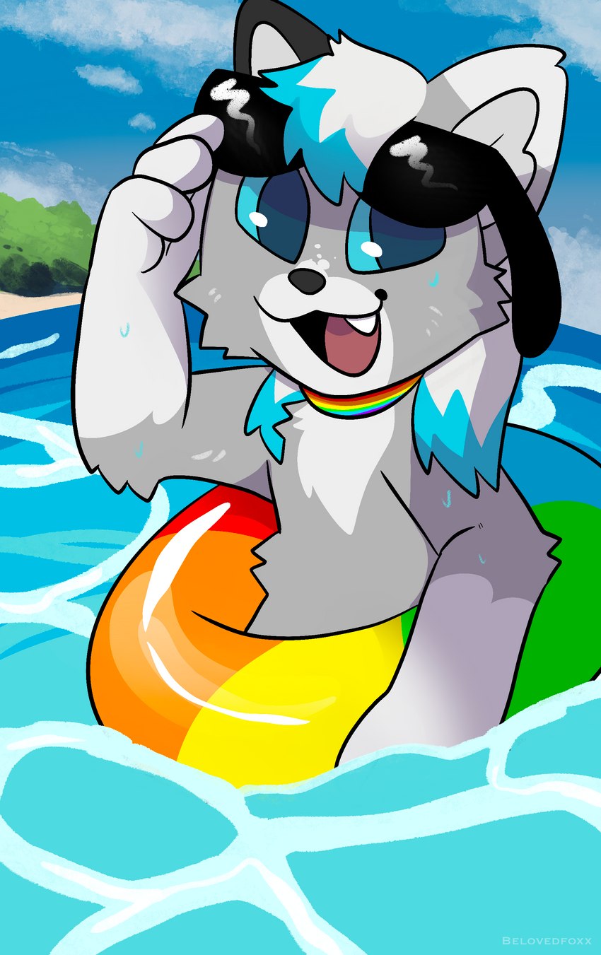 anthro beach collar eyewear happy in_swim_ring inflatable inner_tube lgbt_pride male pool_toy pride_color_accessory pride_color_collar pride_colors rainbow_collar rainbow_pride_colors rainbow_symbol seaside six-stripe_rainbow_pride_colors solo sunglasses swim_ring water belovedfoxx dante_kinkade canid canine canis mammal wolf absurd_res hi_res