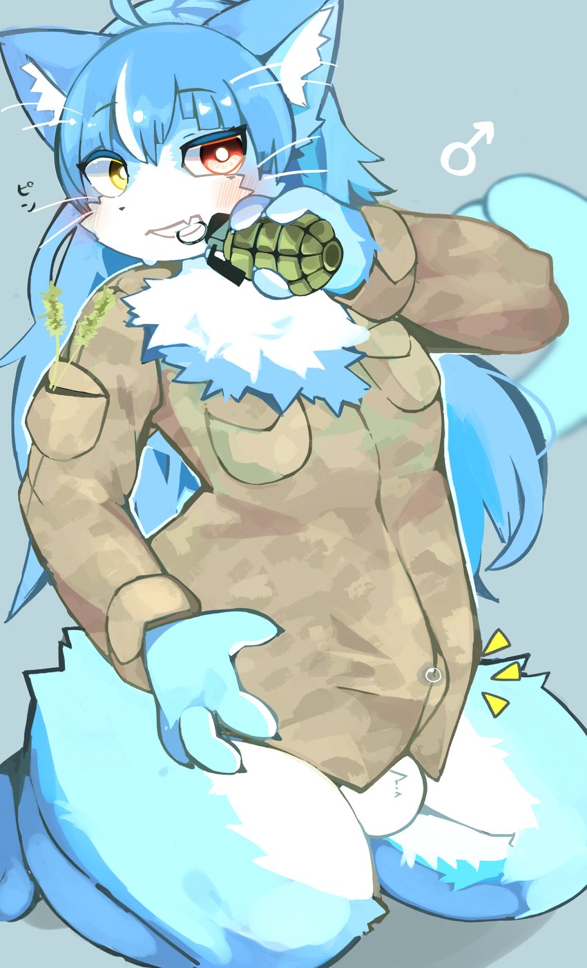 4_fingers ahoge anthro balls blue_body blue_fur blue_hair blush bodily_fluids bottomless bulge camo camo_clothing camo_print clothed clothing cute_fangs emanata explosives fangs femboy fingers fluffy forked_tail fur gender_symbol genital_fluids genitals grenade hair heterochromia holding_object jacket kemono kneeling long_hair looking_at_viewer male male_anthro male_symbol neck_tuft pattern_clothing penis penis_tuck precum precum_through_clothing red_eyes solo symbol tail teeth text topwear tuft unusual_anatomy unusual_tail weapon wet wet_clothing whiskers white_body white_fur yellow_eyes ronchainu japan_air_self-defense_force omaneko_(jasdf) domestic_cat felid feline felis mammal 2023 absurd_res digital_media_(artwork) hi_res japanese_text translated_description translation_request