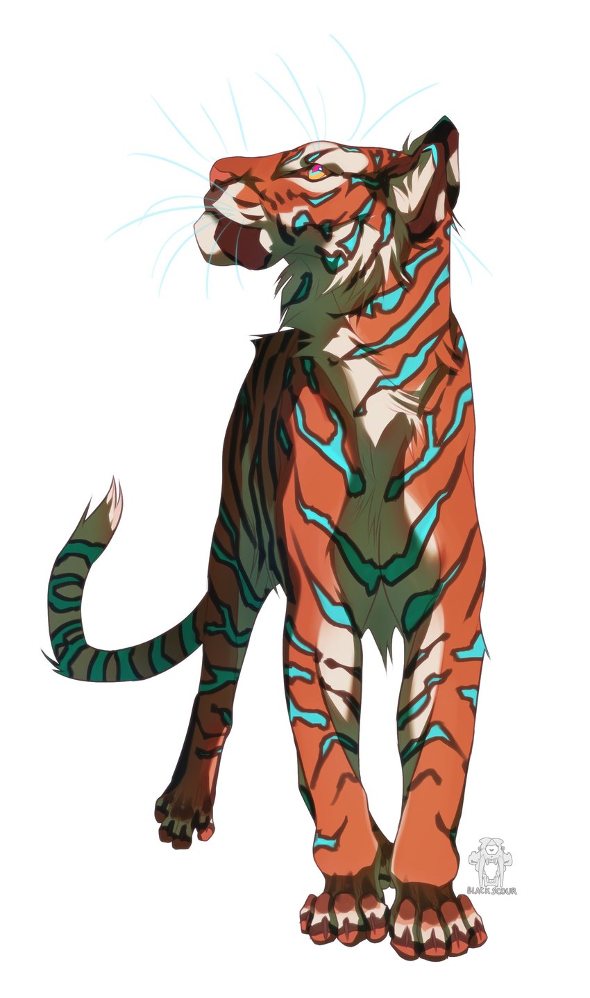 ambiguous_gender blue_eyes blue_stripes cheek_tuft facial_tuft feral front_view fur glistening glistening_eyes logo markings mouth_closed neck_tuft orange_body orange_fur pink_pupils pupils quadruped simple_background solo striped_body striped_fur striped_legs striped_markings striped_neck striped_tail stripes tail tail_markings tuft white_background white_body white_fur yellow_sclera blackscour felid mammal pantherine tiger absurd_res artist_logo artist_name hi_res