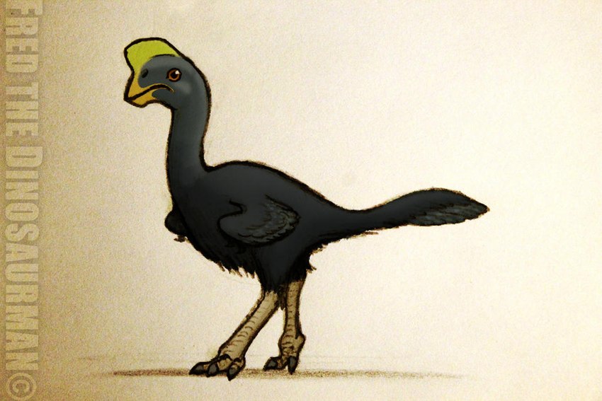 ambiguous_gender beak beak_closed black_body black_feathers claws closed_frown feathers feral frown head_crest long_tail orange_eyes solo tail wings yellow_crest fredthedinosaurman dinosaur oviraptor oviraptorid prehistoric_species reptile scalie theropod 2014 digital_media_(artwork) watermark