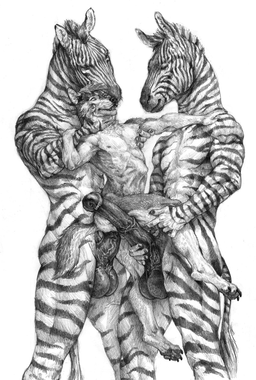 4_toes 5_fingers abdominal_bulge anal anal_penetration animal_genitalia animal_penis anthro anthro_on_anthro anthro_penetrated anthro_penetrating anthro_penetrating_anthro athletic athletic_anthro athletic_male balls cheek_tuft chest_tuft claws digitigrade equine_genitalia equine_penis facial_tuft feet fingers from_behind_position fur genitals group group_sex holding_neck inner_ear_fluff larger_anthro larger_male male male/male male_penetrated male_penetrating male_penetrating_male medial_ring nude pawpads penetration penile penile_penetration penis penis_in_ass pointy_ears prick_ears reverse_stand_and_carry_position sex simple_background size_difference smaller_anthro smaller_male smaller_penetrated standing standing_sex striped_body striped_fur stripes tail tail_tuft threesome toe_claws toes tuft urethra vein veiny_penis whiskers a_inc storm_(stormwx_wolf) canid canine canis equid equine mammal wolf zebra 2023 hi_res monochrome portrait three-quarter_portrait traditional_media_(artwork)