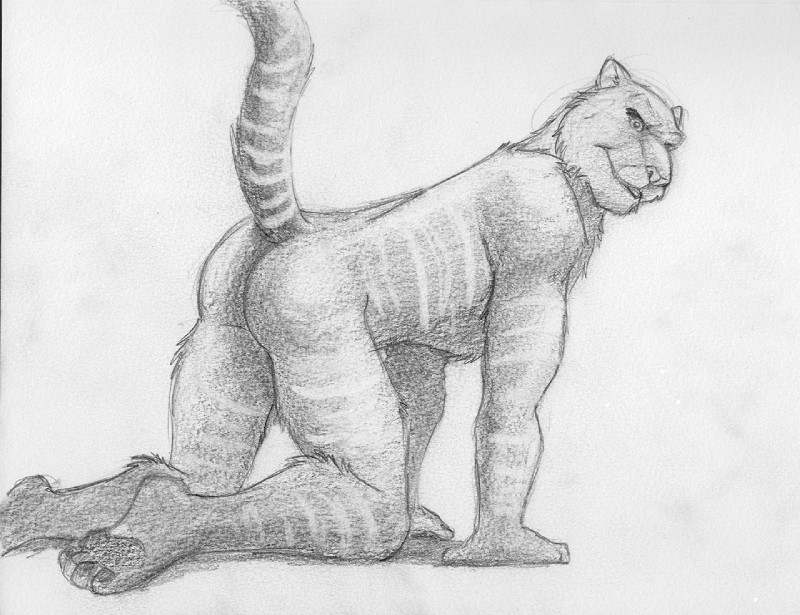 all_fours butt butt_pose cheek_tuft chest_tuft facial_tuft fur hindpaw leg_tuft male markings pawpads paws plantigrade pose presenting presenting_hindquarters raised_tail smile solo striped_body striped_fur striped_markings striped_tail stripes tail tail_markings tuft cirruskitfox denatri felid mammal pantherine tiger monochrome traditional_media_(artwork)