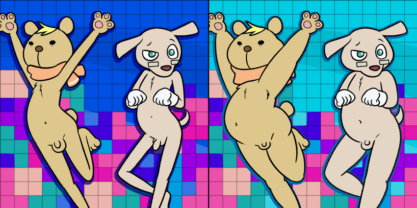 anthro balls black_eyes blonde_hair blue_eyes clothing duo eyewear fur genitals glasses gloves hair handwear male nude overweight overweight_male pawpads penis scarf skinny small_penis tan_body tan_fur nishi_oxnard puyo_puyo puyo_puyo_tetris sega ai_(puyo_puyo) risukuma bear canid canine canis domestic_dog mammal 2:1 hi_res