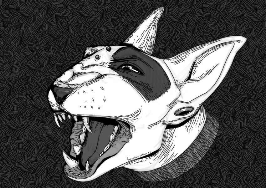 anthro barking black_body black_fur black_markings black_nose black_sclera collar ear_piercing fur grin grinding male markings multicolored_body multicolored_fur nose_bridge_piercing open_mouth piercing simple_background smile solo teeth teeth_showing white_body white_fur free-opium inktober sobak_(free-opium) bull_terrier canid canine canis domestic_dog hunting_dog mammal terrier 2022 black_and_white digital_drawing_(artwork) digital_media_(artwork) hi_res monochrome shaded simple_shading