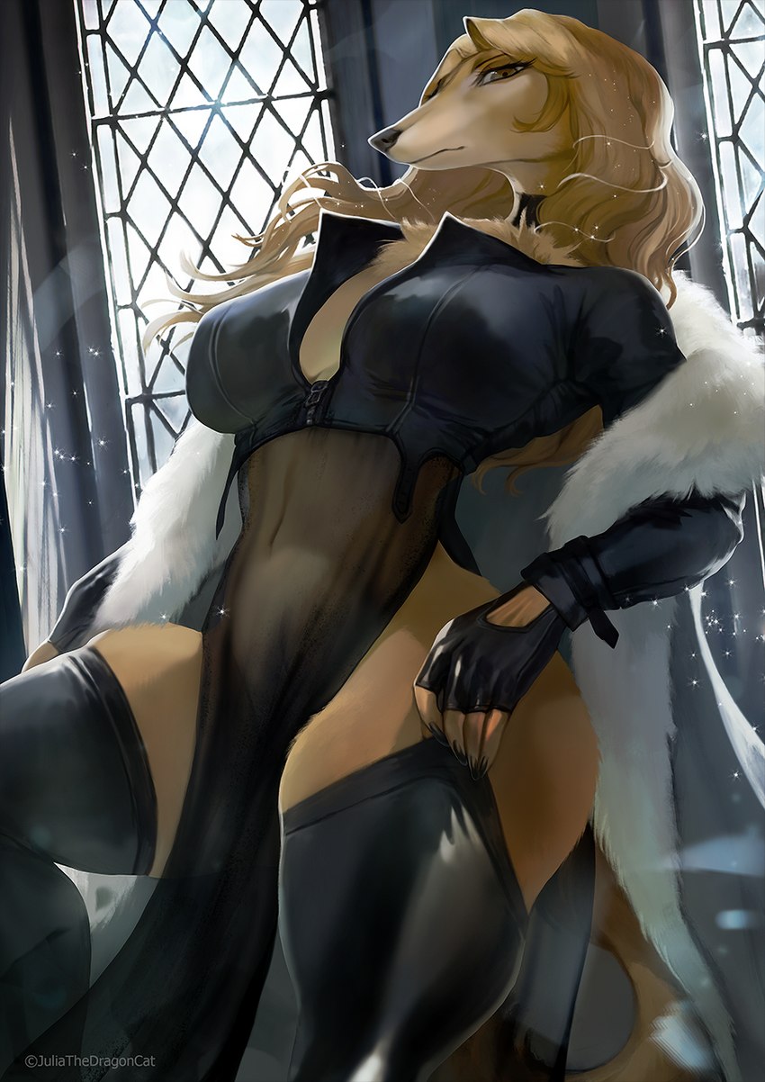 anthro biped black_nails black_nose blonde_hair breasts brown_eyes butt chest_tuft choker claws cleavage clothed clothing coat colored_nails crop_top cropped_jacket curvy_figure female fingerless_gloves front_view fur fur_lined_clothing gloves hair handwear hourglass_figure huge_thighs inside jewelry leaning leaning_backward leather leather_clothing leather_legwear leather_thigh_highs legwear light looking_at_viewer looking_down looking_down_at_viewer low-angle_view nails navel necklace neutral_expression nipple_outline open_clothing open_coat open_topwear shirt side_boob sideless_dress solo squish standing thick_thighs thigh_highs thigh_squish topwear translucent translucent_clothing tuft wide_hips window window_light yellow_body yellow_fur juliathedragoncat nonoka_(nonoka917) canid canine mammal 2023 artist_name hi_res lighting portrait shaded three-quarter_portrait