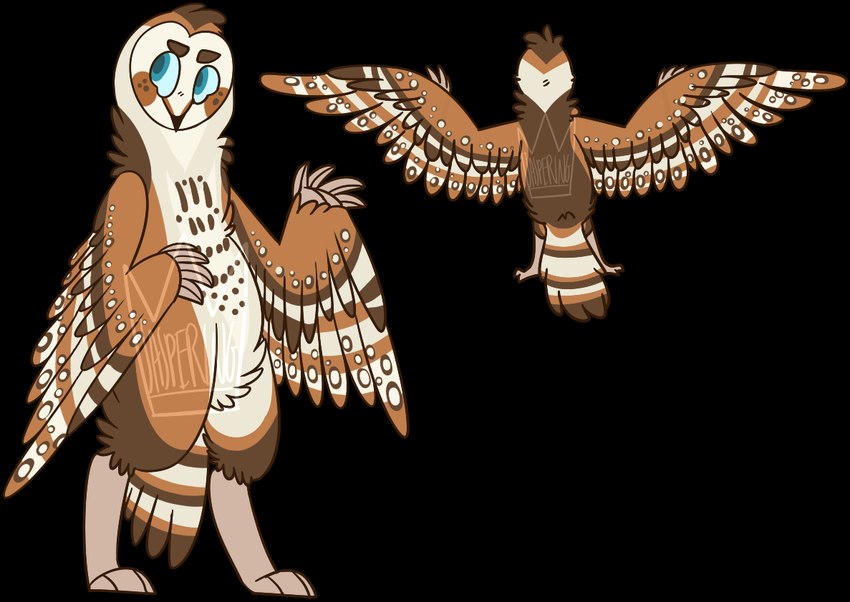 ambiguous_gender anthro beak black_beak blue_eyes blue_pupils blue_sclera brown_body brown_eyebrows brown_feathers claws digitigrade eyebrows feathered_wings feathers featureless_crotch head_tuft markings pupils simple_background solo spots spotted_body spotted_feathers standing tail tail_feathers tan_body tan_claws tan_feathers transparent_background tuft wing_claws wings jaspering avian barn_owl bird owl tyto tytonid 2017 alpha_channel digital_drawing_(artwork) digital_media_(artwork) flat_colors model_sheet