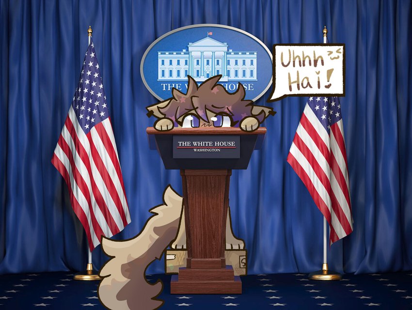 :3 american_flag blush female flag photo_background president short_height solo speech_bubble standing_on_box tail text united_states_of_america white_house dougiefluff cocoa_(dougiefluff) english_text hi_res meme photography_(artwork)