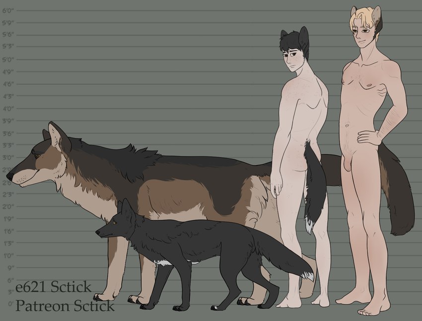 female feral flaccid foreskin genitals group male penis standing tail sctick andrew_(sctick) idris_(sctick) canid canine canis coyote humanoid mammal wolf clip_studio_paint_(artwork) digital_media_(artwork) hi_res