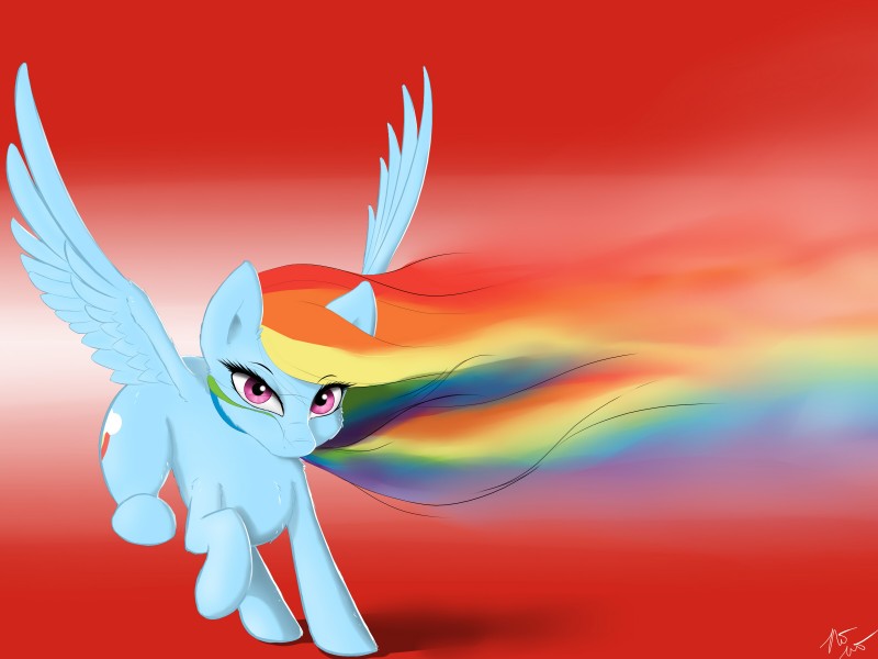 rainbow dash (friendship is magic and etc) created by pudgeruffian