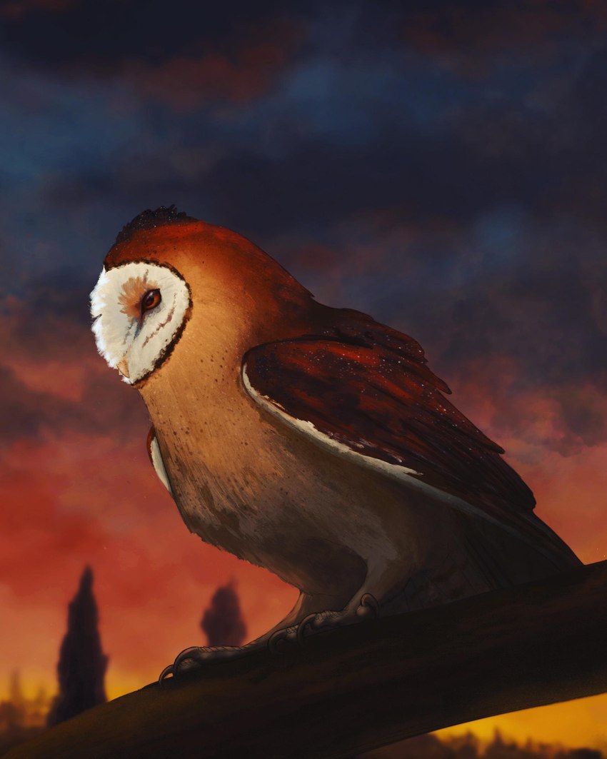 ambiguous_gender brown_body brown_feathers feathers feral plant solo sunset tree white_body white_feathers senecar0cks guardians_of_ga'hoole kludd avian barn_owl bird owl tyto tytonid 4:5 absurd_res hi_res male_(lore)