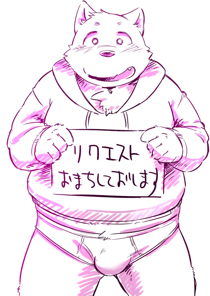 anthro belly big_belly blush bulge clothing hoodie kemono male overweight overweight_male simple_background solo text topwear underwear diru11 canid canine canis domestic_dog mammal 2015 hi_res japanese_text