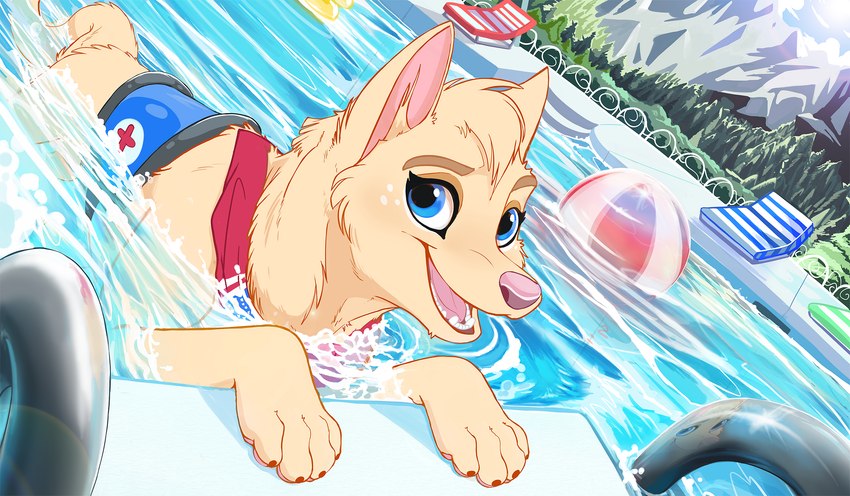 ball blue_eyes claws cross day eyebrows female feral head_tuft looking_at_viewer open_mouth open_smile outside partially_submerged pink_nose pool quadruped smile solo swimming tan_body teeth tongue tuft wugi clementine_(wugi) canid canine canis domestic_dog mammal 2024 hi_res