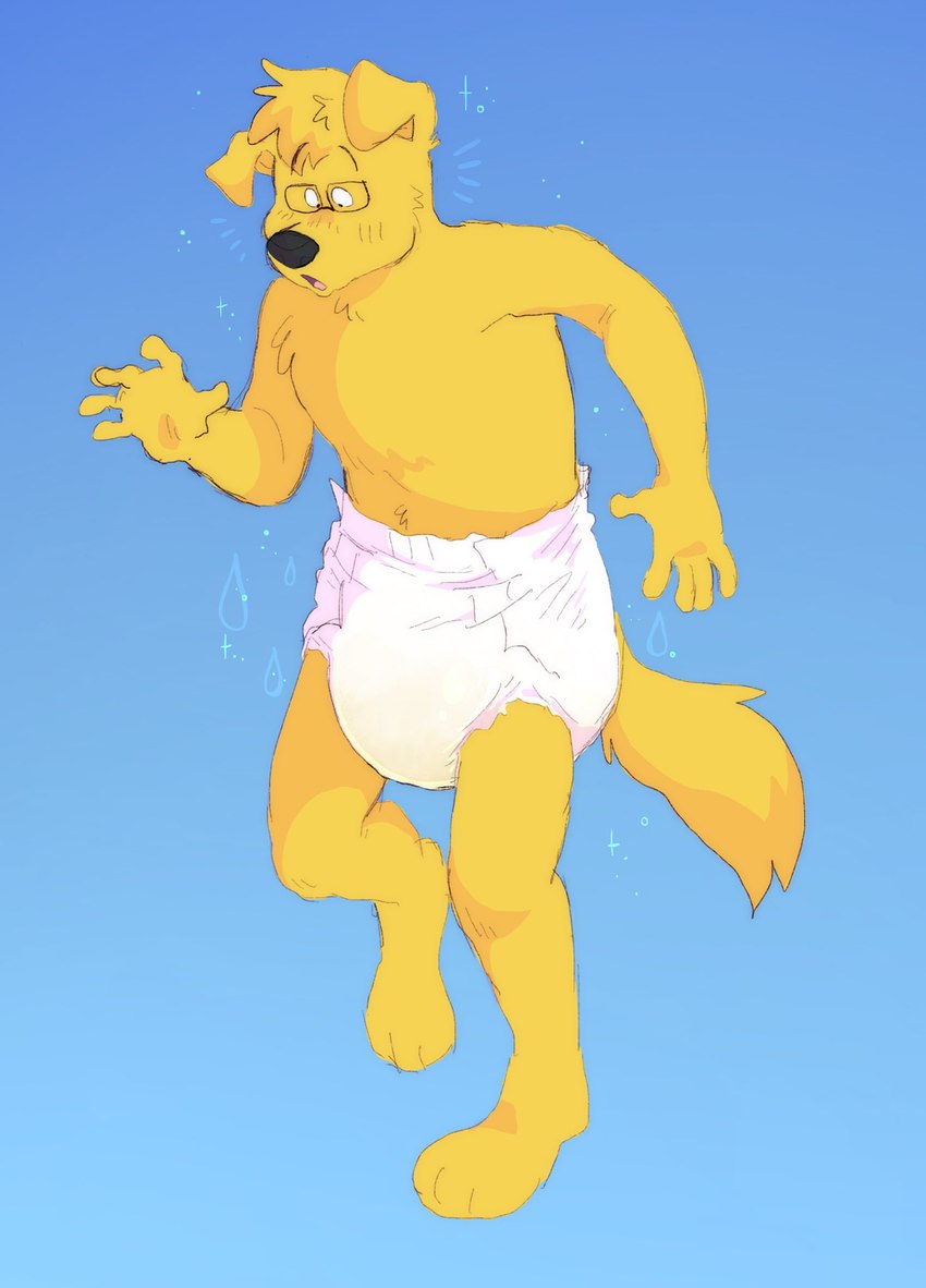 anthro blue_background bodily_fluids clothed clothing diaper eyewear floppy_ears fur genital_fluids glasses looking_down male simple_background solo standing surprise surprised_expression unclean_diaper urine used_diaper wearing_diaper wet_diaper yellow_body yellow_fur slusheep ballythedog bird_dog canid canine canis domestic_dog golden_retriever hunting_dog mammal retriever hi_res