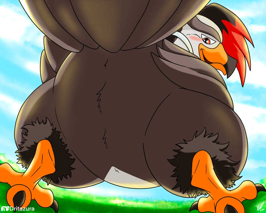 avian_butt avian_feet big_butt blush butt feral looking_at_viewer looking_back male presenting presenting_hindquarters raised_tail smile solo tail dritazura nintendo pokemon valean avian bird generation_4_pokemon pokemon_(species) staraptor featureless_(disambiguation) absurd_res hi_res