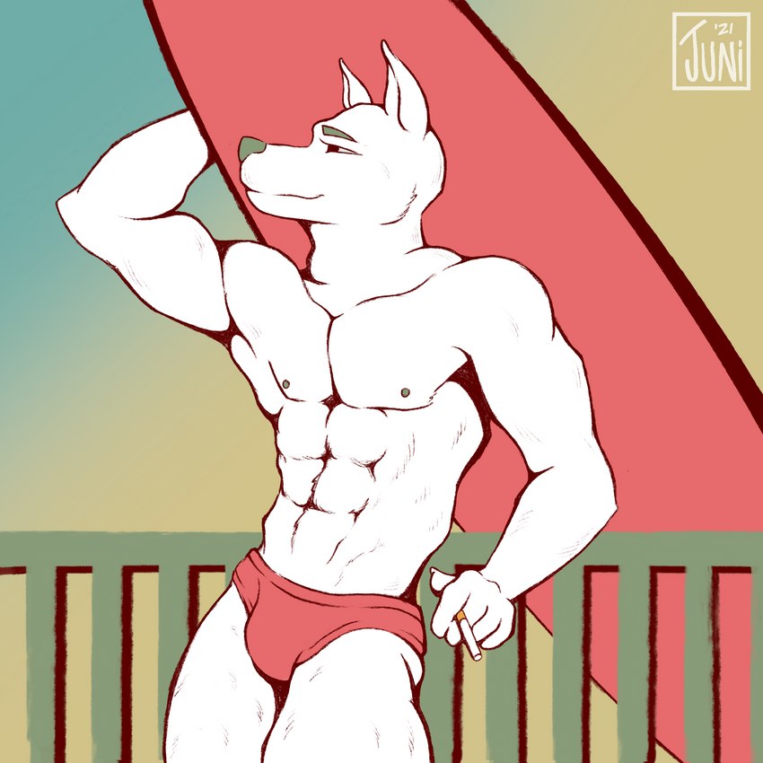 anthro cigarette clothing fur gradient_background male muscle_tone muscular muscular_anthro muscular_male profile simple_background smile solo speedo standing surfboard swimwear white_body white_fur juwunipur canid canine canis domestic_dog mammal 1:1 colored_sketch digital_drawing_(artwork) digital_media_(artwork) hi_res sketch