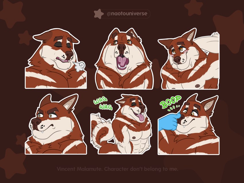 anthro boop male muscular muscular_male nipples nose_boop shy sigh solo tail tail_motion tailwag naoto vince_the_malamute alaskan_malamute canid canine canis domestic_dog mammal nordic_sled_dog spitz 4:3