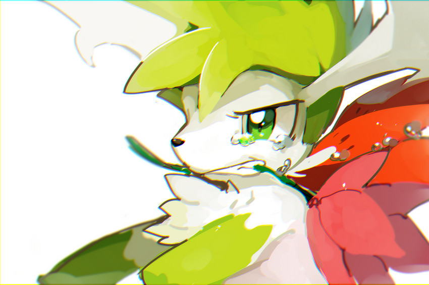 ambiguous_gender bodily_fluids clenched_teeth feral flower flower_in_mouth fur green_body green_eyes green_fur holding_flower holding_object mouth_hold plant simple_background solo tears teeth white_background white_body white_fur sushi1515 nintendo pokemon generation_4_pokemon legendary_pokemon pokemon_(species) shaymin sky_forme_shaymin