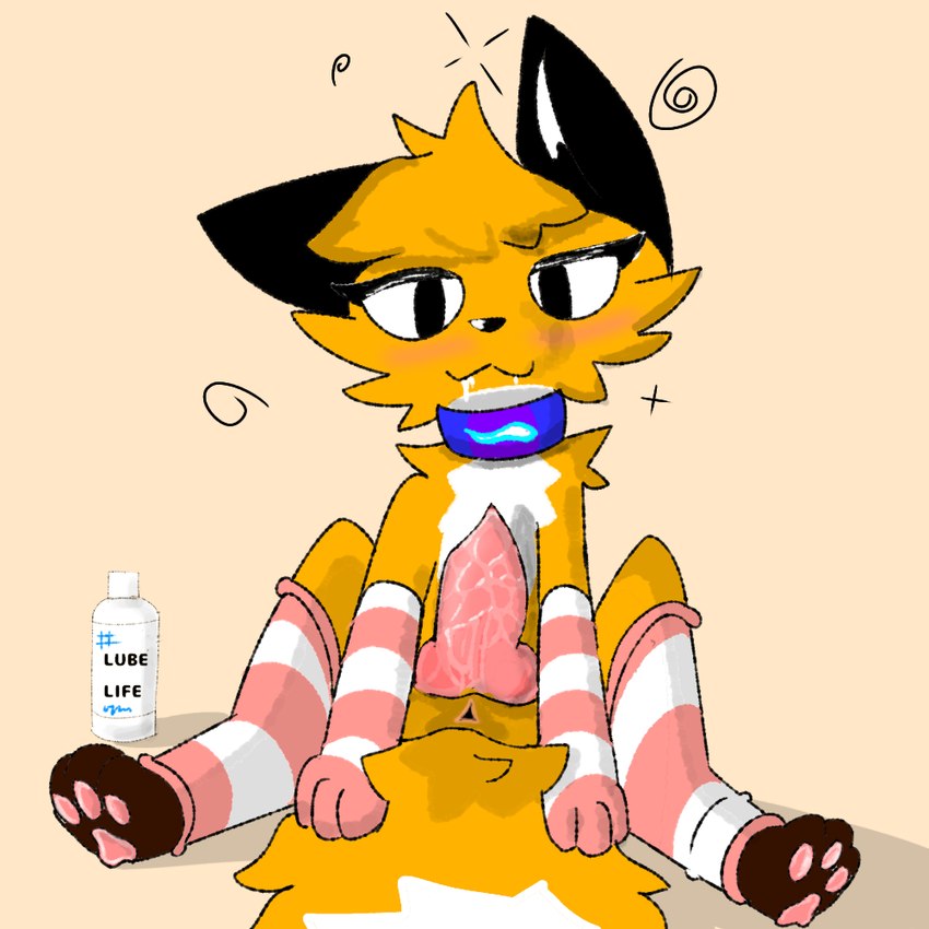 anus biped black_ears bodily_fluids cheek_tuft clothing collar dizzy drooling erection facial_tuft feral fluffy fluffy_tail fur genitals hair legwear looking_at_viewer lube lube_bottle lube_life male orange_body orange_fur orange_hair pawpads paws penis saliva simple_background simple_eyes simple_nose sitting sitting_on_tail solo tail thigh_highs tuft fooxo programming_socks canid canine fox mammal true_fox shaded simple_shading