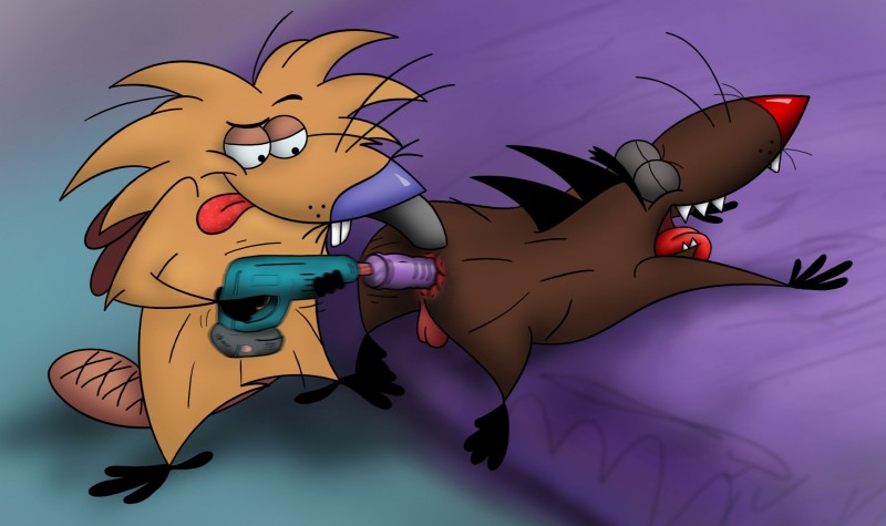 anal anal_penetration anthro anus ass_drill balls dildo drilldo duo genitals male male/male male_penetrated male_penetrating male_penetrating_male penetration power_tool sex sex_toy tail tongue tools toying_partner johnofe nickelodeon the_angry_beavers daggett_beaver norbert_beaver beaver mammal rodent hi_res