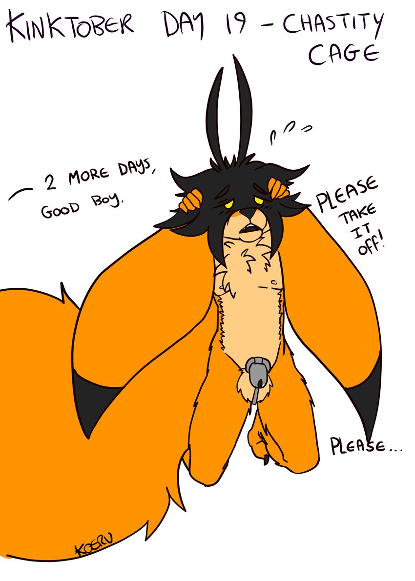 anthro aroused balls begging big_ears big_tail chastity_cage chastity_device fluffy_balls genitals kneeling male panicking simple_background solo tail text koeru kinktober kinktober_2024 enji_arklight canid canine fennec_fox fox mammal true_fox english_text hi_res