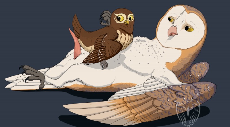 ambiguous_gender animal_genitalia beak claws cloacal_penis duo erection feathered_wings feathers feet feral genitals lying male open_mouth penis simple_background smile suggesting surprise talons toes wings zeshapyra guardians_of_ga'hoole gylfie soren_(gogh) avian barn_owl bird elf_owl owl true_owl tyto tytonid 2018 absurd_res digital_drawing_(artwork) digital_media_(artwork) hi_res