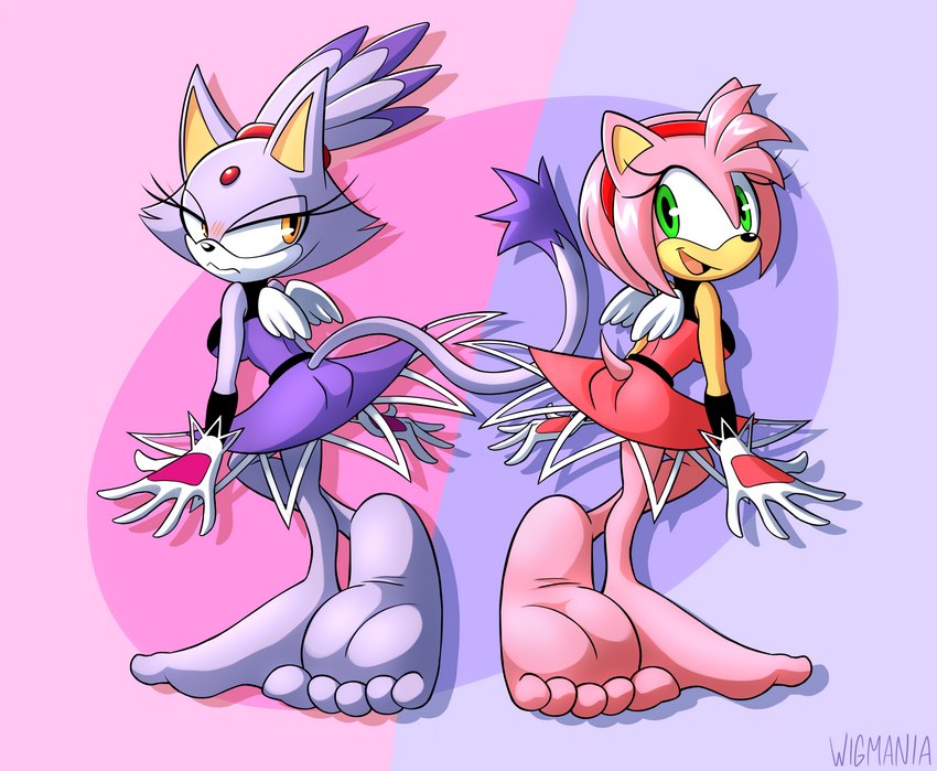 barefoot big_feet duo feet female foot_fetish foot_focus humanoid_feet plantigrade soles tail toes wigmania sega sonic_the_hedgehog_(series) amy_rose blaze_the_cat domestic_cat eulipotyphlan felid feline felis hedgehog mammal absurd_res hi_res