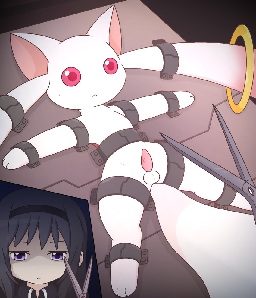 animal_genitalia animal_penis balls bodily_fluids bound duo female feral fur genitals imminent_castration male penis red_eyes scissors submissive submissive_male sweat sweatdrop km-15 puella_magi puella_magi_madoka_magica homura_akemi kyubey human incubator_(puella_magi) mammal hi_res