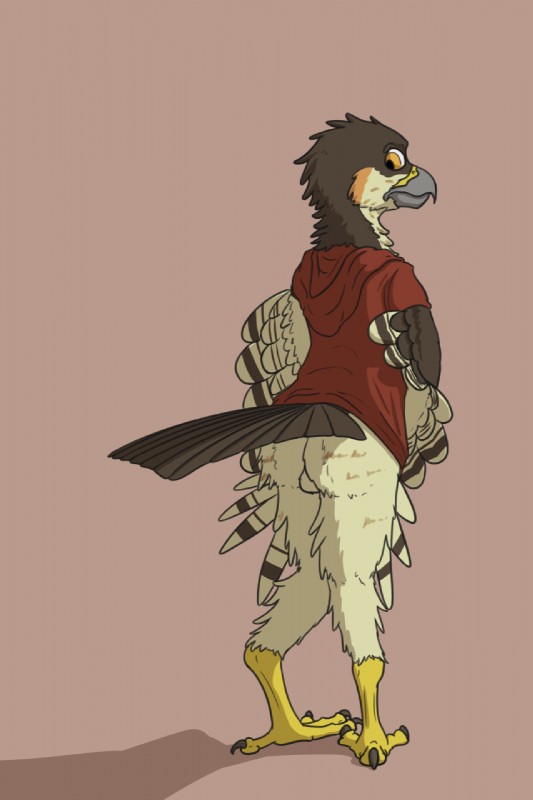 4_toes anisodactyl anthro backsack balls bottomless brown_body brown_feathers butt clothed clothing feathered_wings feathers feet genitals hoodie looking_back male orange_eyes raised_tail red_clothing red_hoodie red_topwear short_sleeves solo standing tail tan_body tan_feathers toes topwear wings doesnotexist lief_woodcock accipiter accipitrid accipitriform avian bird eurasian_sparrowhawk true_hawk 2019 digital_media_(artwork) hi_res