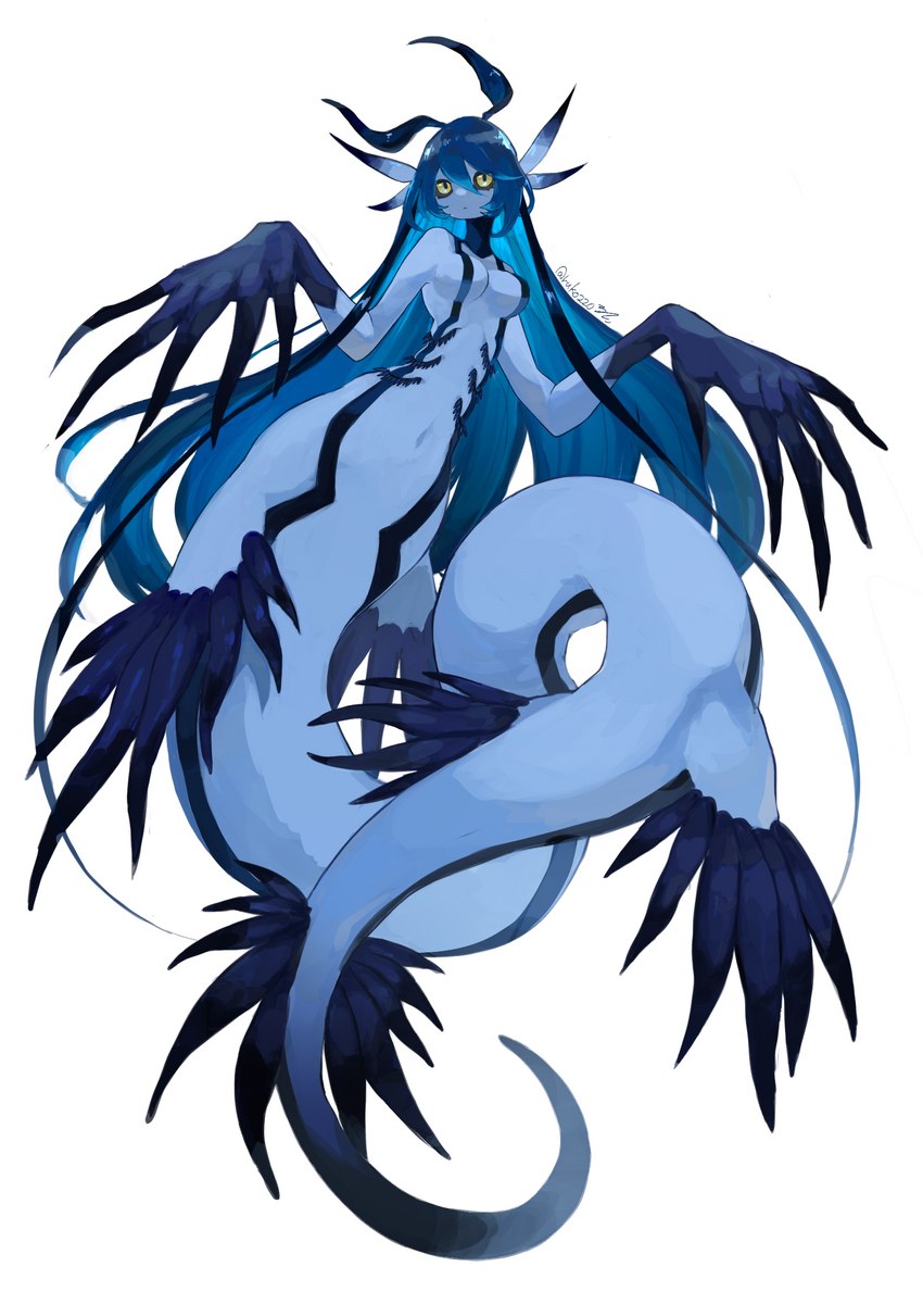 anthro big_hands blue_body blue_cerata blue_hair blue_skin blue_tail breasts cerata_(anatomy) featureless_breasts female floating gills hair long_hair long_tail looking_at_viewer monster_girl_(genre) simple_background solo tail white_background yellow_eyes ruko220 aeolid_nudibranch aquatic_gastropod blue_dragon_slug gastropod marine mollusk nudibranch sea_slug slug hi_res